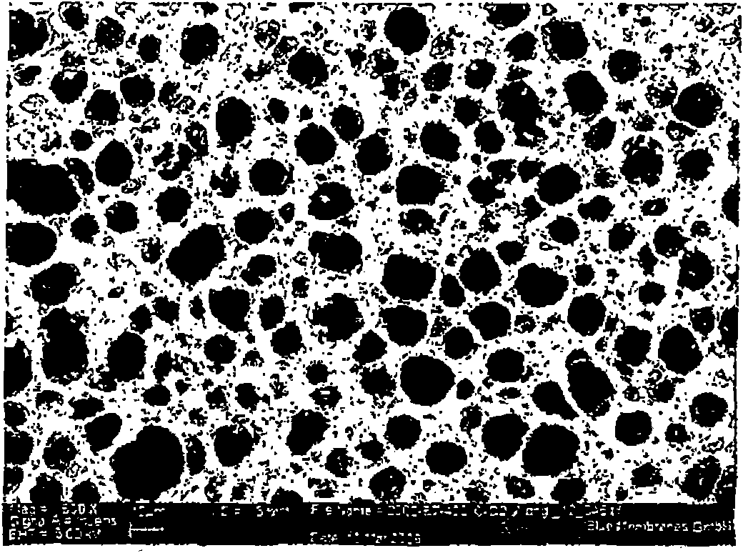 Porous, non-degradable implant made by powder molding