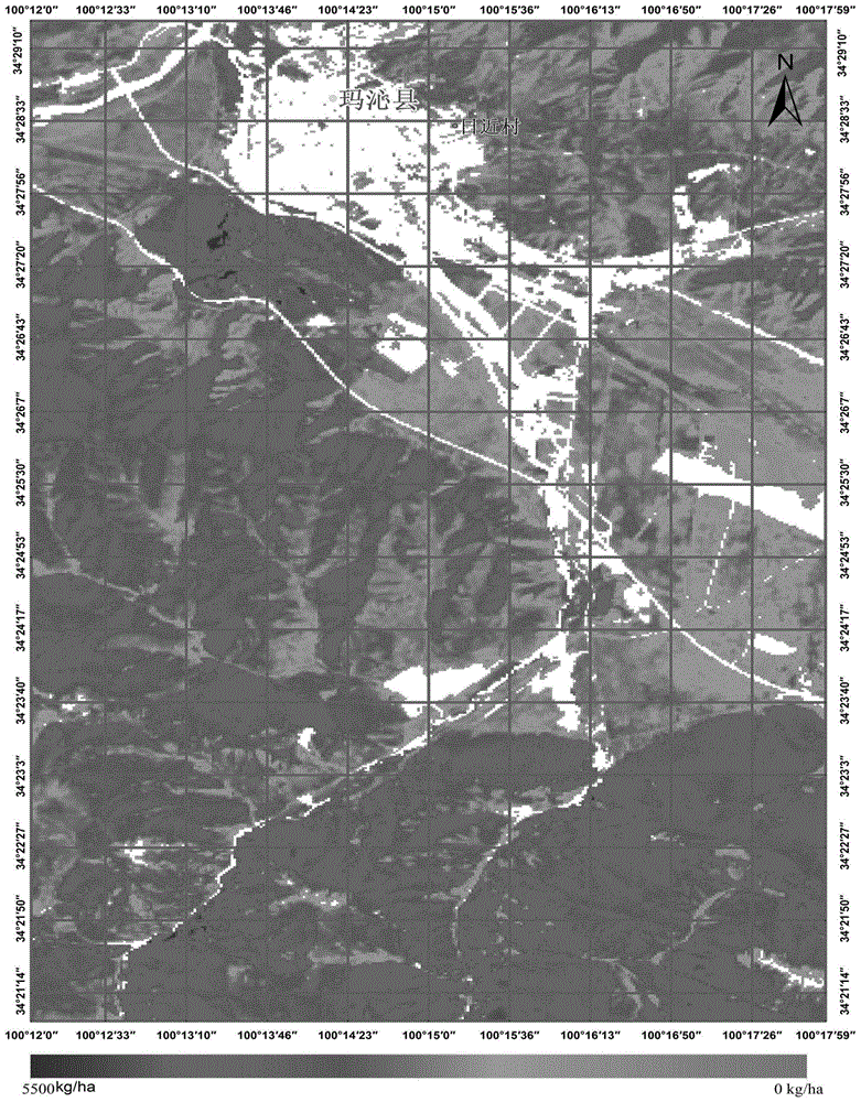 A Method for Establishing Reference Plots for Remote Sensing Monitoring of Alpine Grasslands