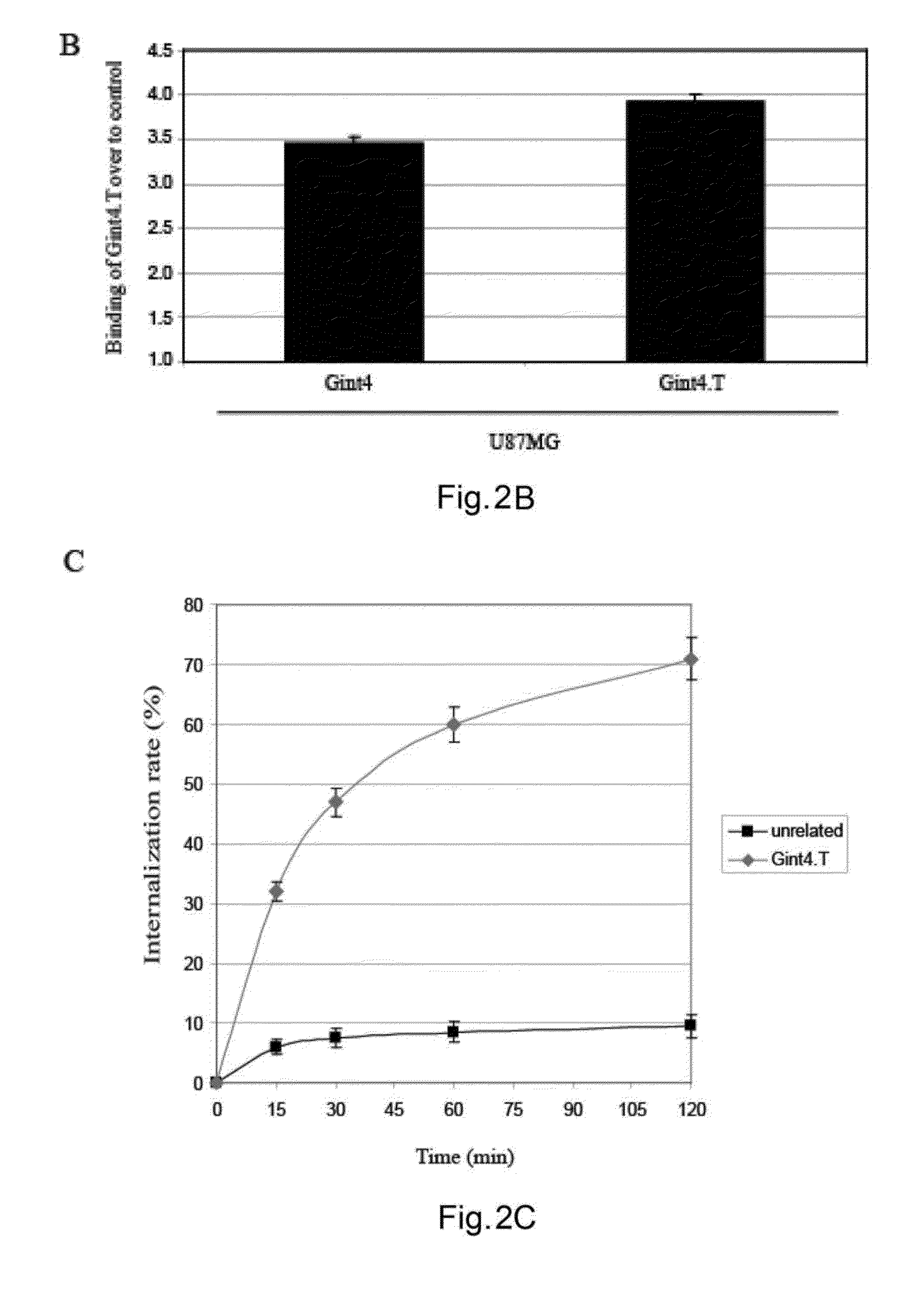 Neutralizing RNA aptamers against pdgfbeta and uses thereof in the therapy and diagnosis of hyperproliferative diseases