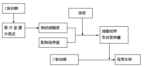 Method for cultivating pearls in test tube