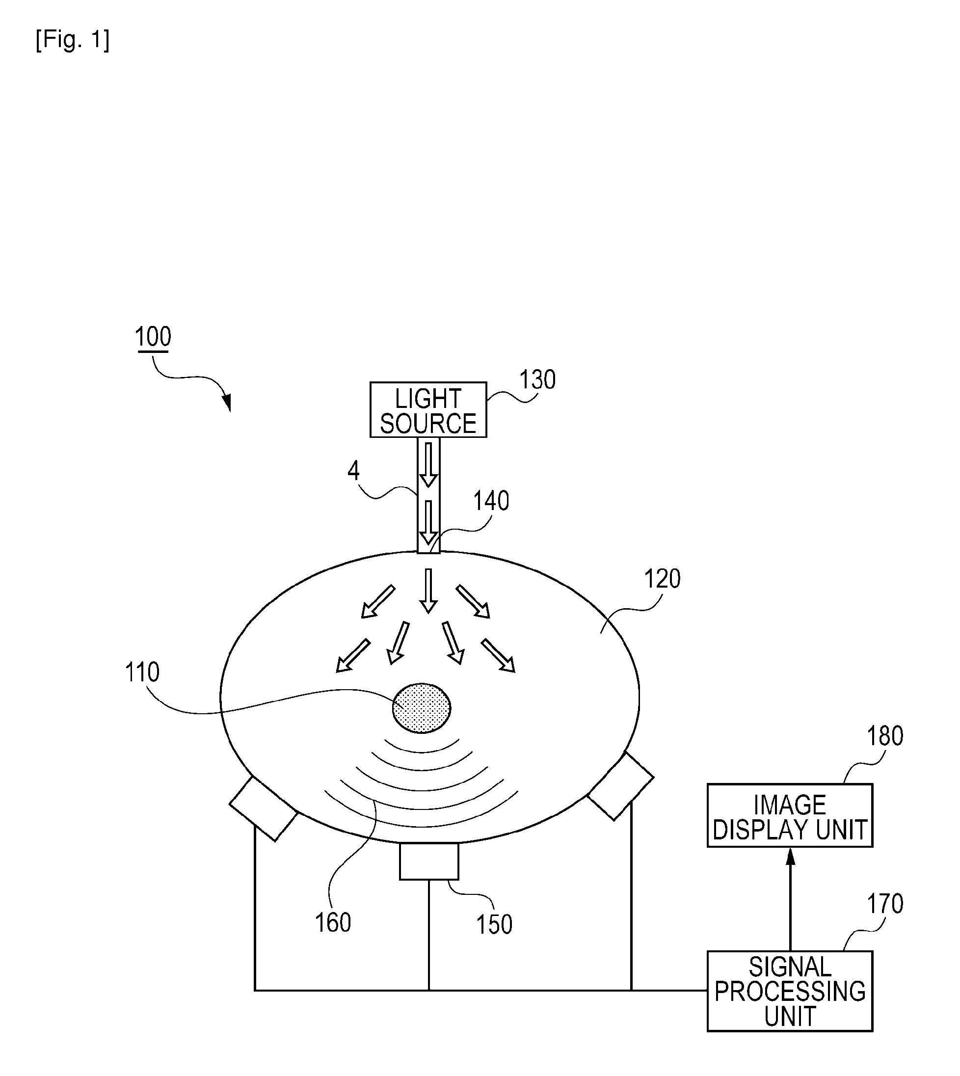 Photoacoustic imaging apparatus and photoacoustic imaging method