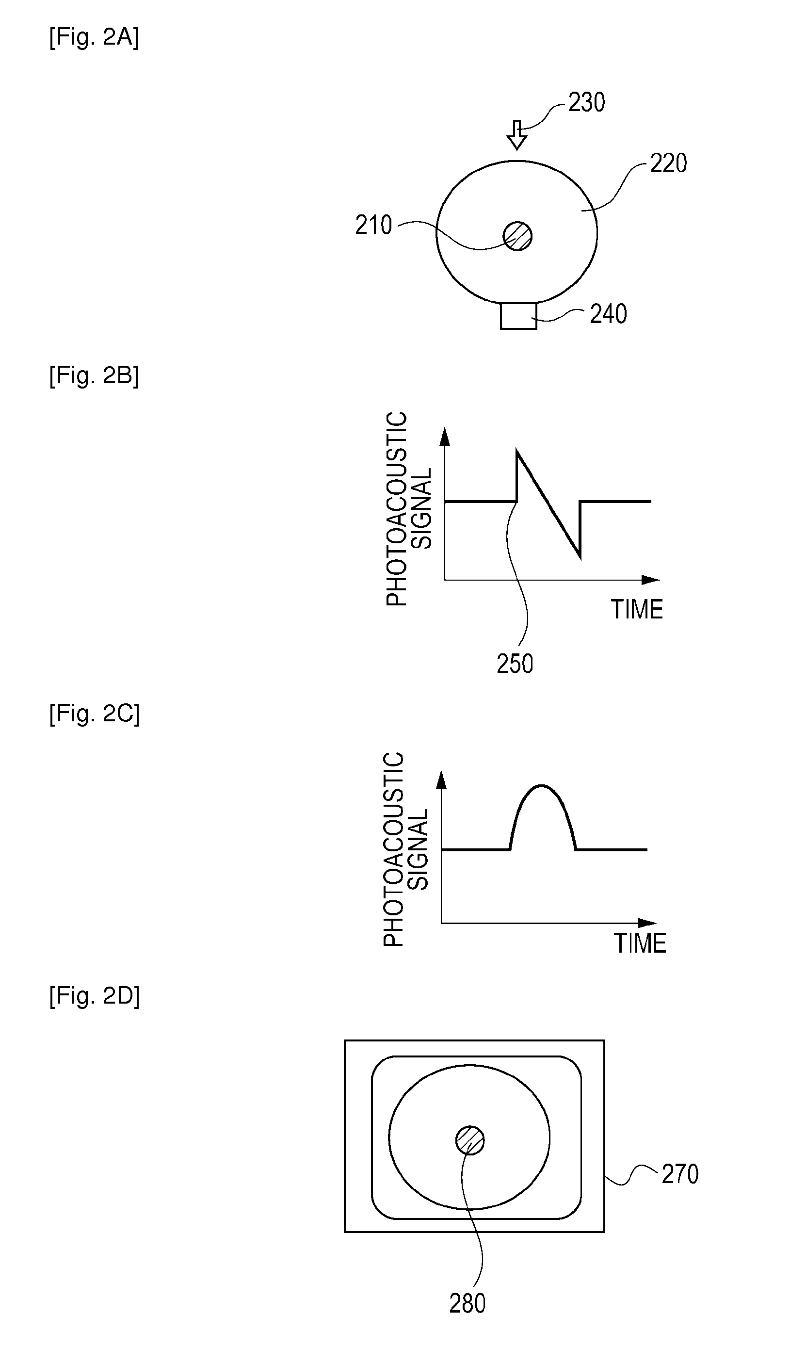 Photoacoustic imaging apparatus and photoacoustic imaging method