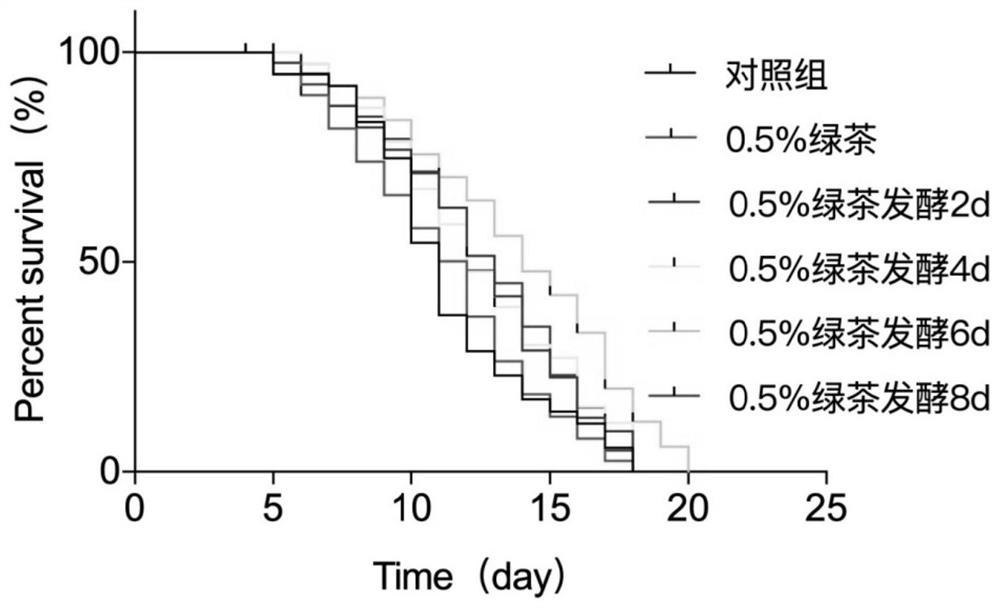 Fermented tea helpful for delaying aging of organisms, and preparation method and application thereof