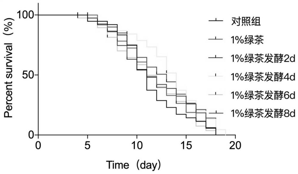 Fermented tea helpful for delaying aging of organisms, and preparation method and application thereof