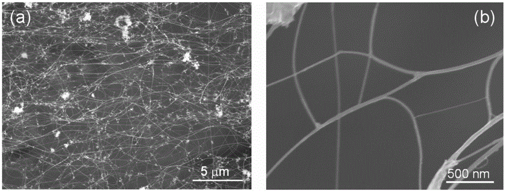 Two-way stretchable supercapacitor and manufacturing method thereof