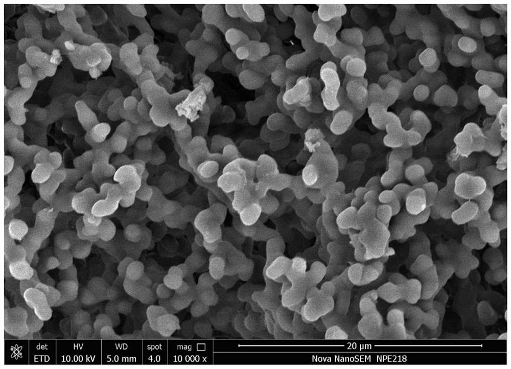 Recyclable multifunctional dynamic covalent polymer aerogel materials and their preparation methods and applications