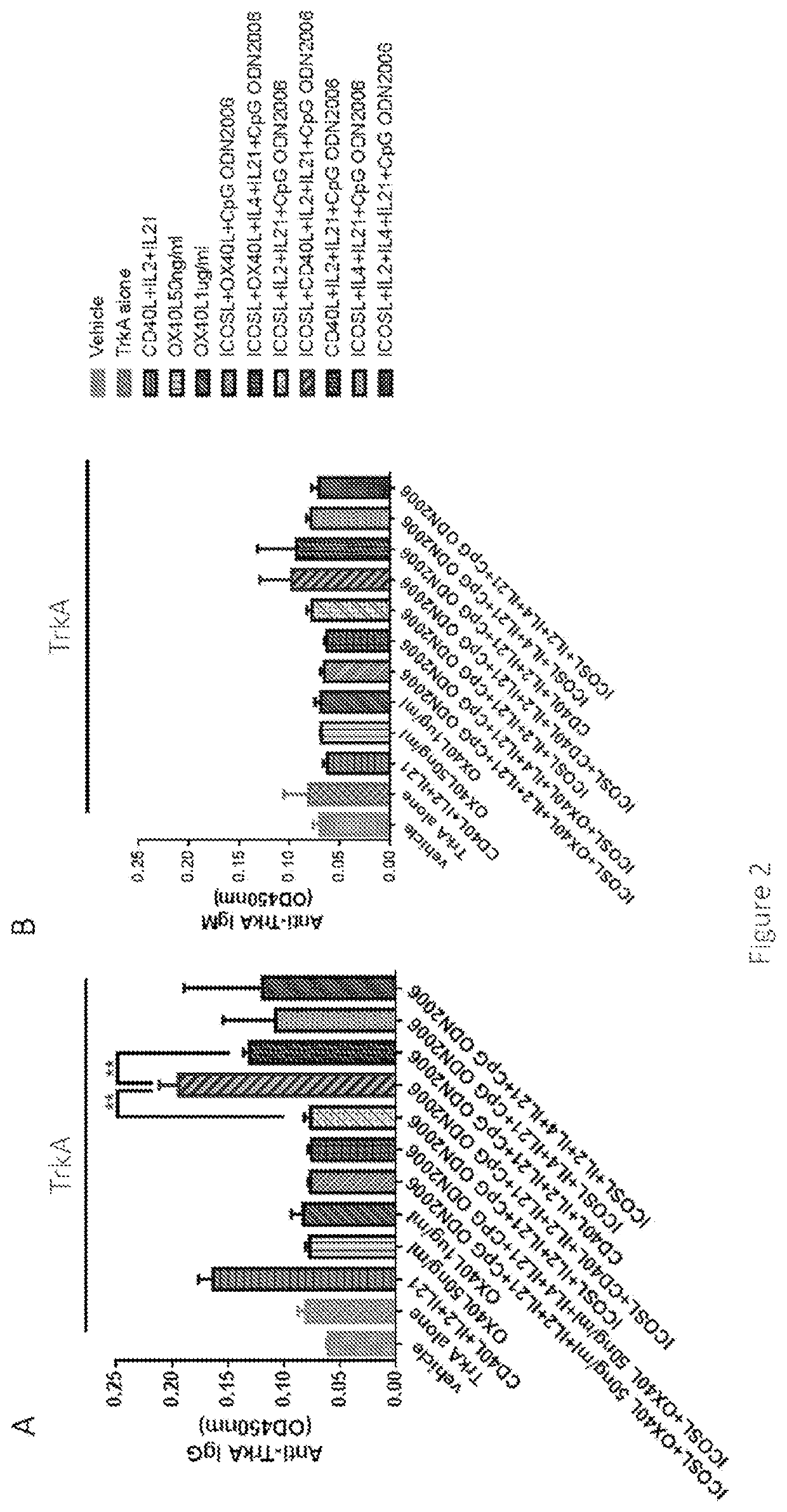 Novel method for producing antibodies