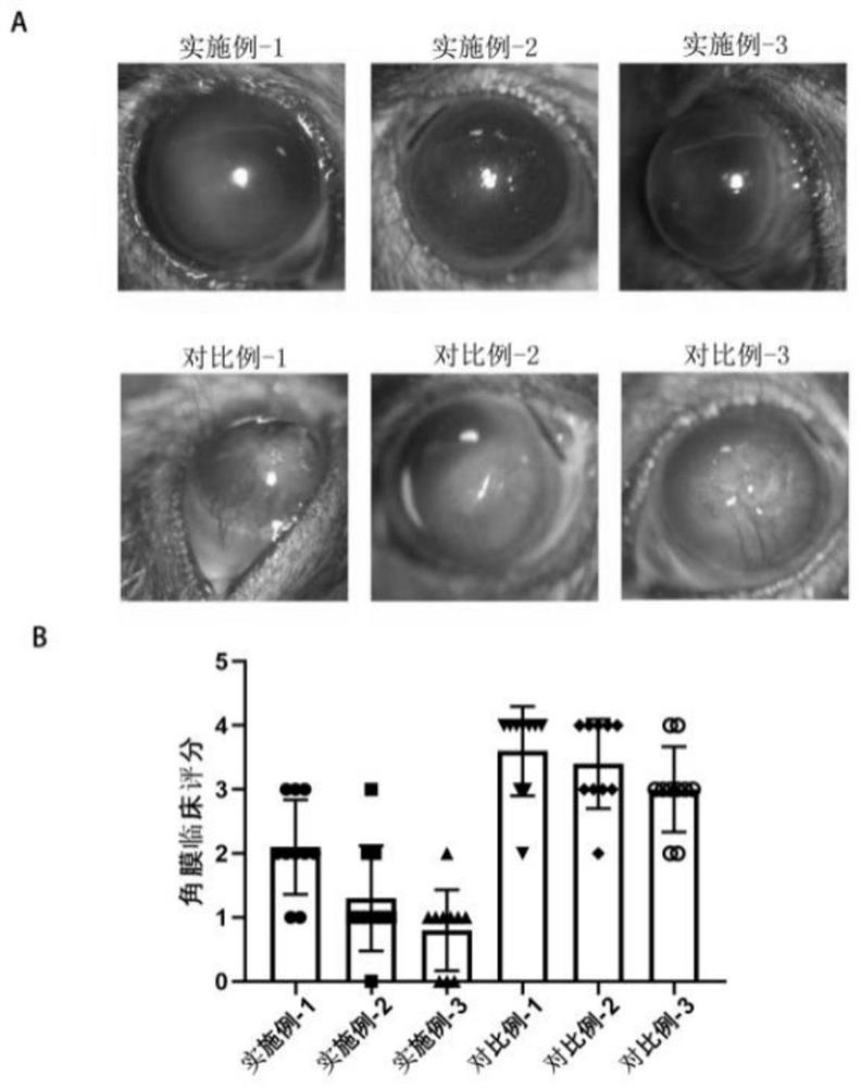 Eye drops suitable for corneal limbal stem cell deficiency and preparation