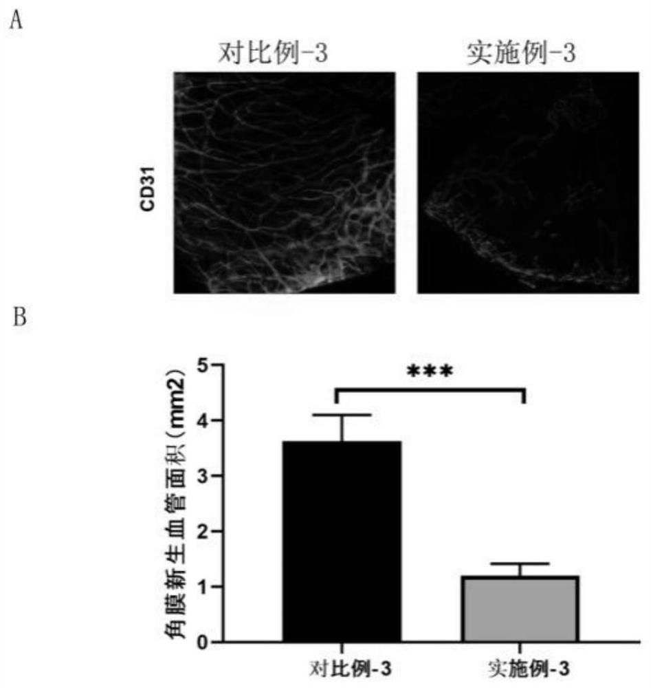 Eye drops suitable for corneal limbal stem cell deficiency and preparation