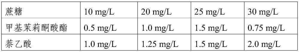 Preparation method and application of mulberry stem cells