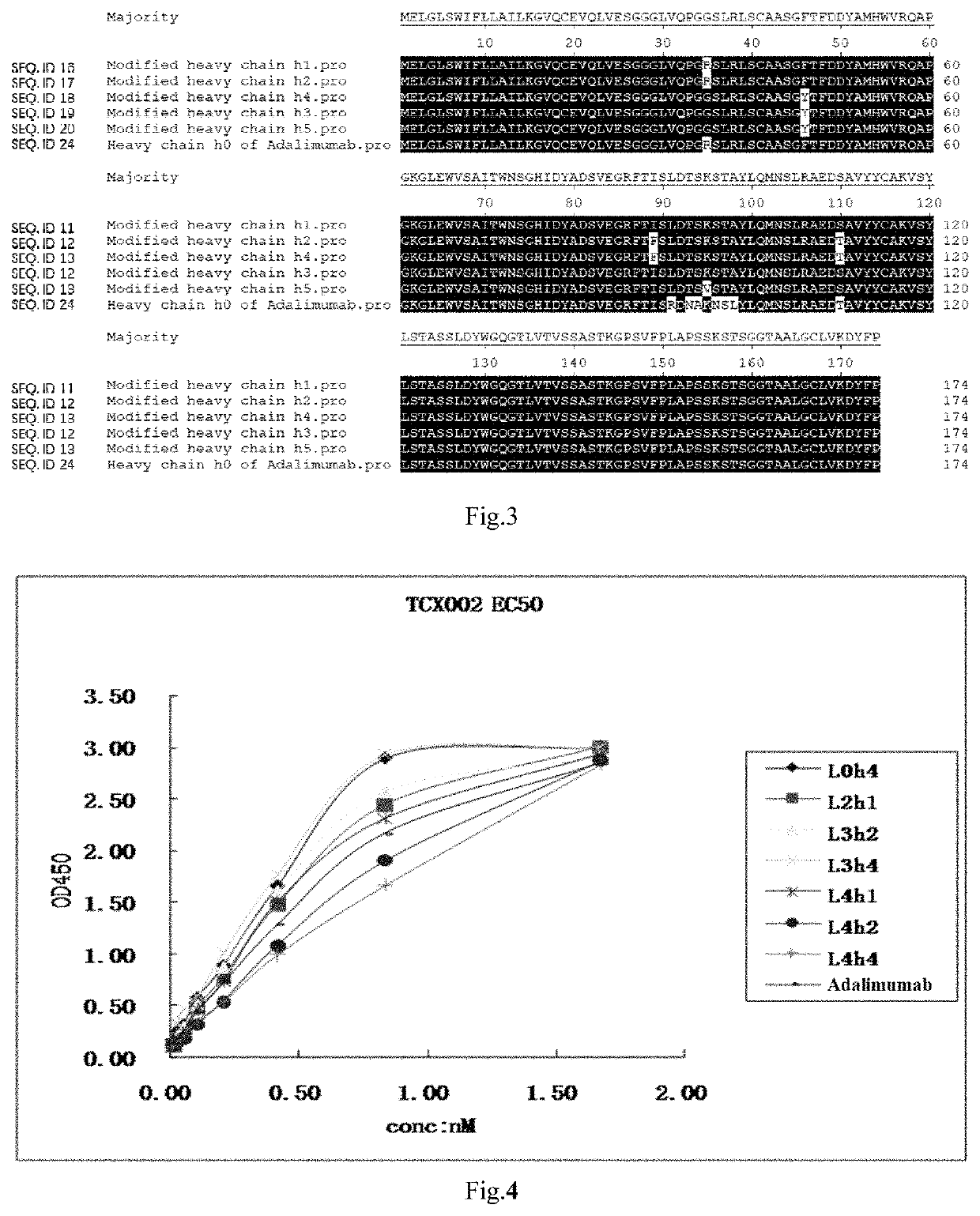 Anti-TNF-α fully human monoclonal antibodies with low immunogenicity and application thereof