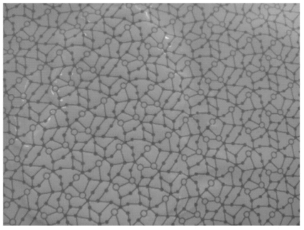 Waterproof and moisture permeable grid printed fabric and preparation method thereof