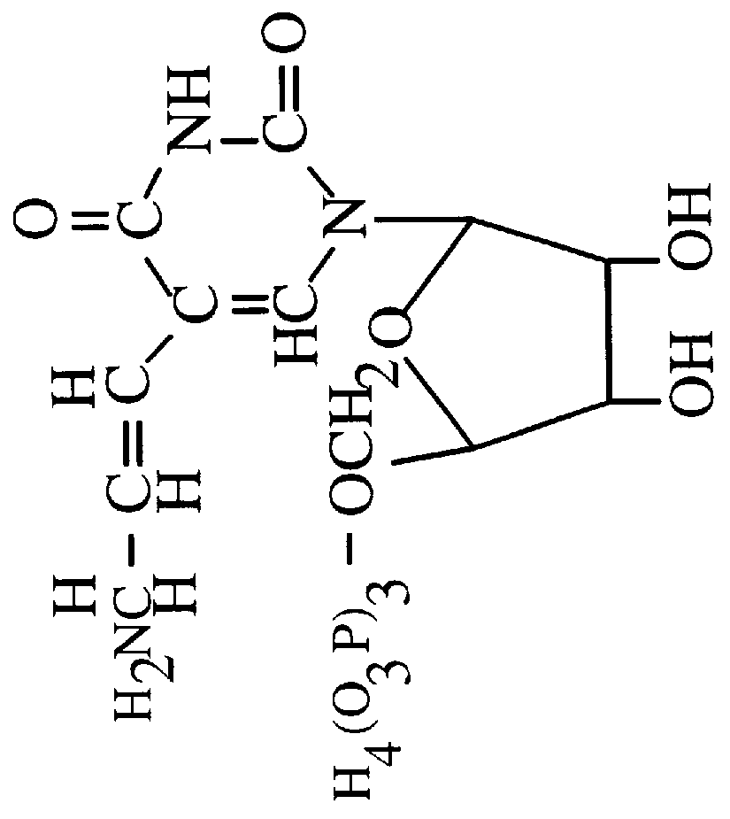 Systematic evolution of ligands exponential enrichment: blended selex