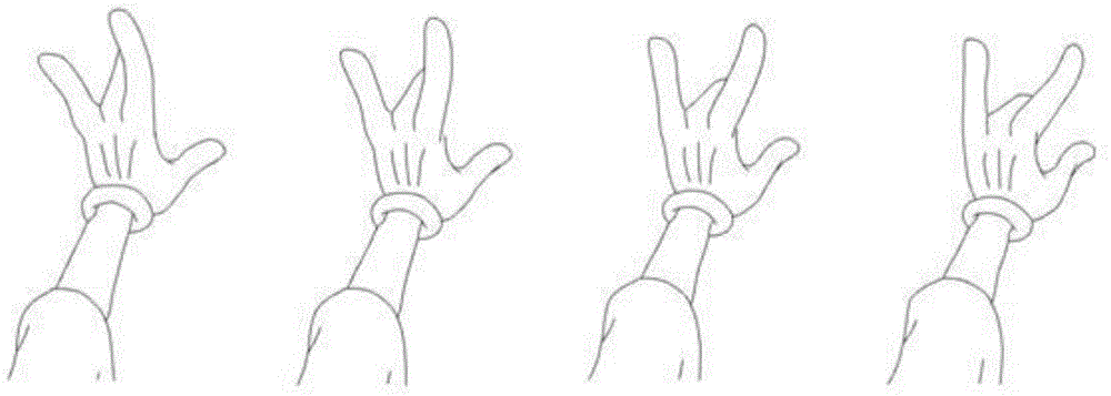 Structure-preserving interpolation method of two-dimensional shapes