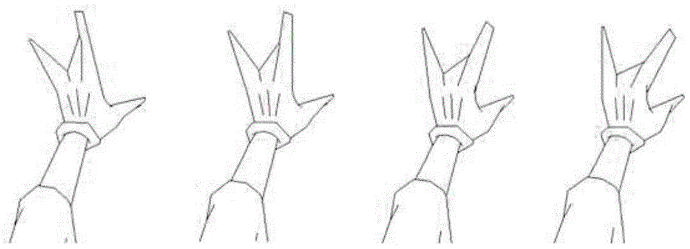 Structure-preserving interpolation method of two-dimensional shapes