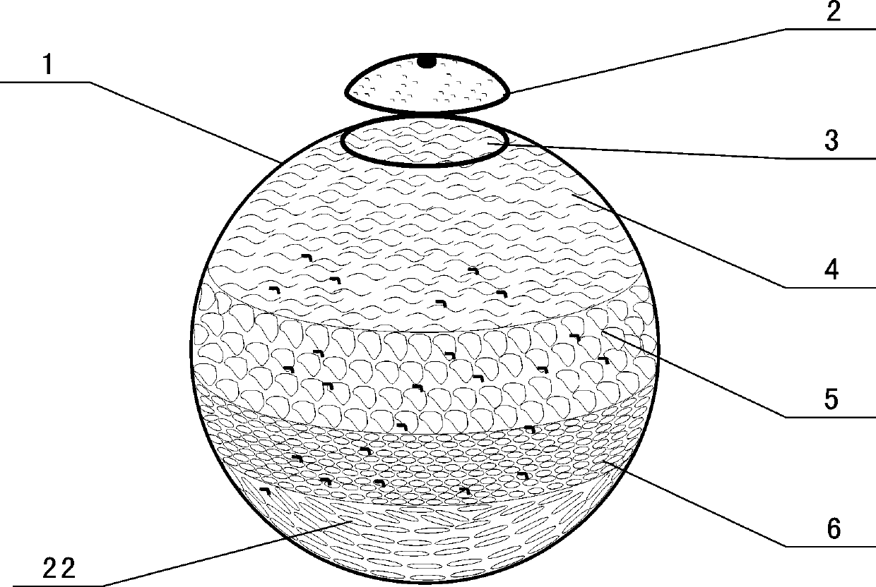 Green citrus tea and preparation method thereof