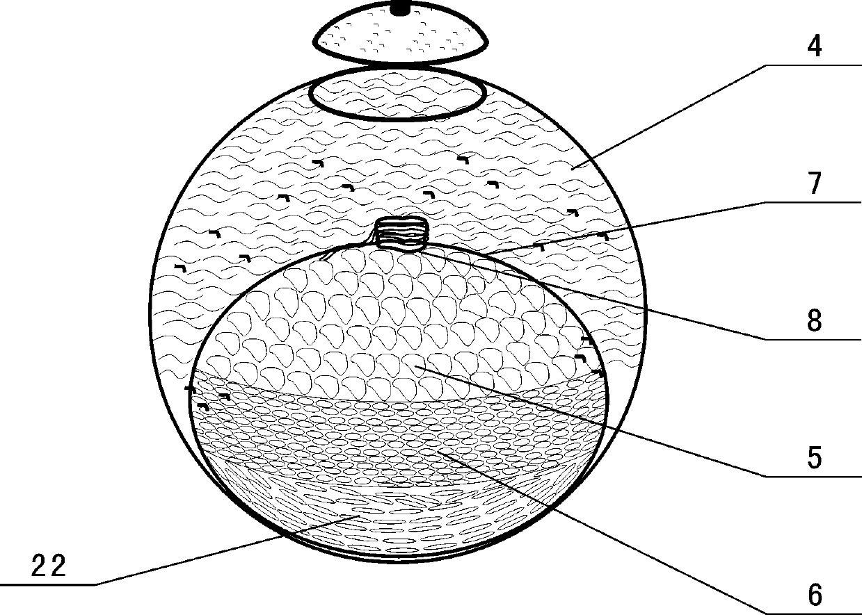 Green citrus tea and preparation method thereof