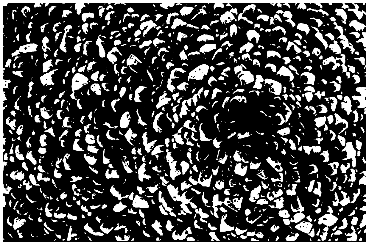 High-nickel cathode material and preparation method thereof