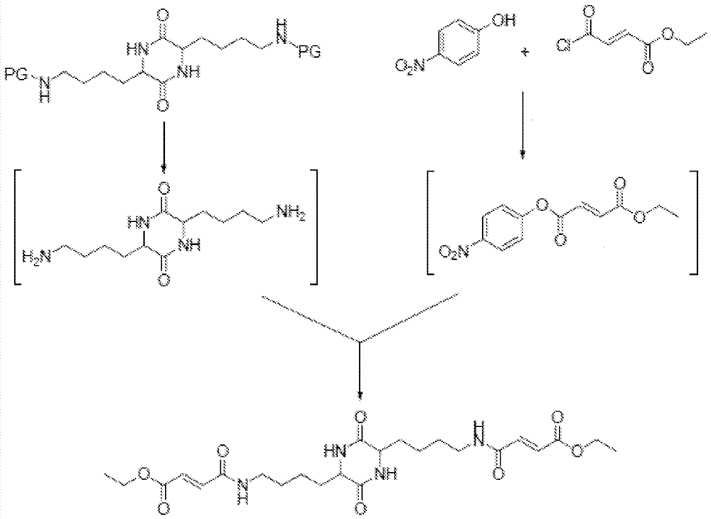 Methods for the synthesis of ethylfumarates and their use as intermediates