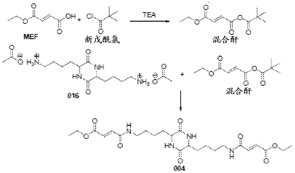 Methods for the synthesis of ethylfumarates and their use as intermediates