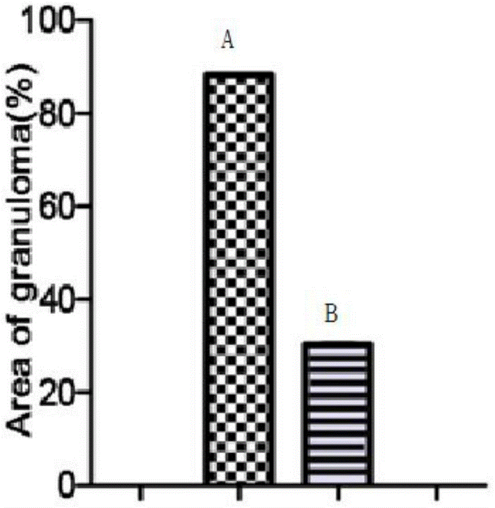 Medicine composition for preventing acute schistosome infection