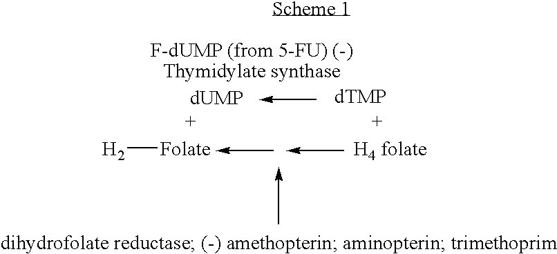 Uses of a thyx polypeptide or a nucleic acid encoding such a polypeptide, in particular for screening anti-bacterial or anti-viral compounds