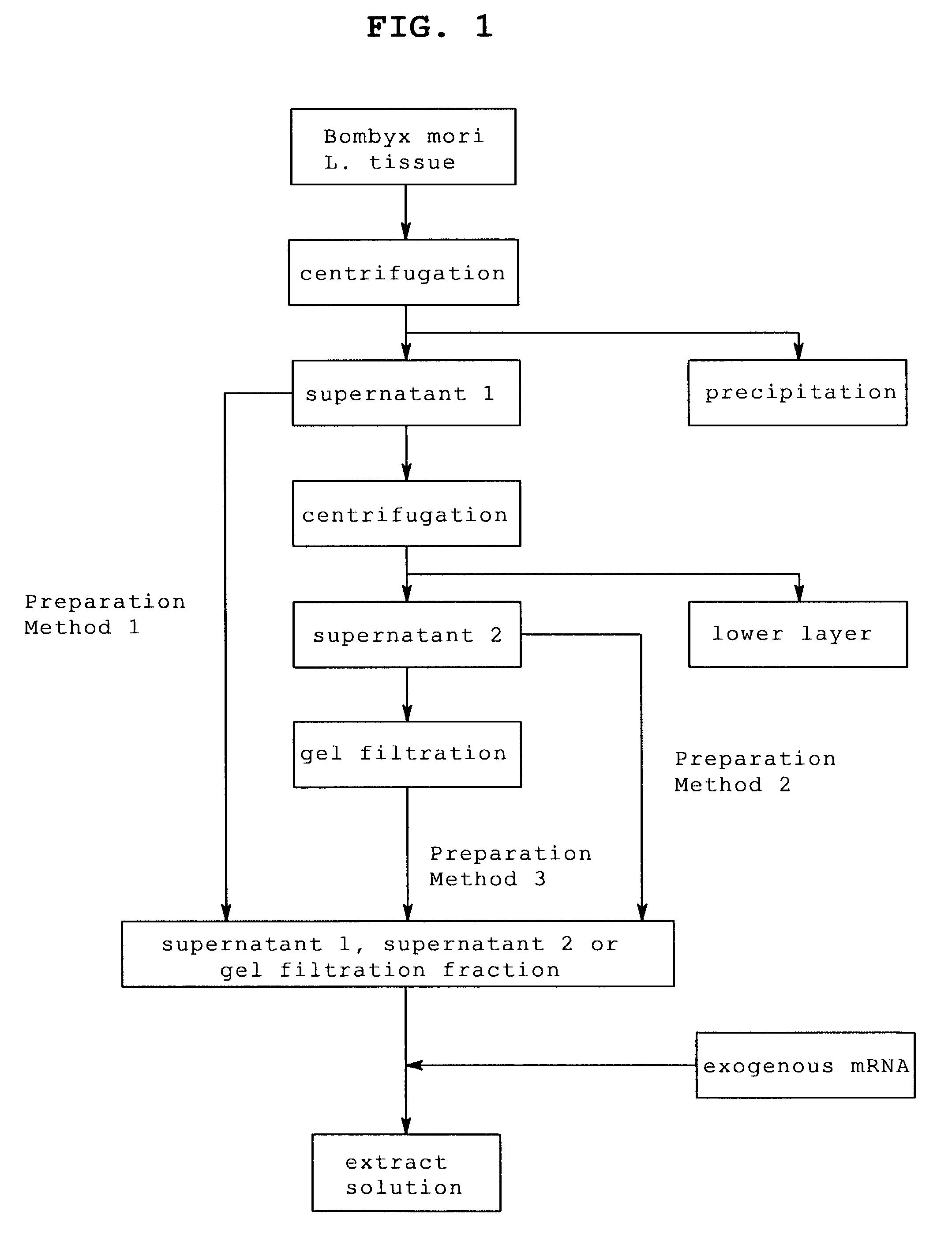 Extract solution for cell-free protein synthesis, method for cell-free protein synthesis using same and method for preparation of the extract solution