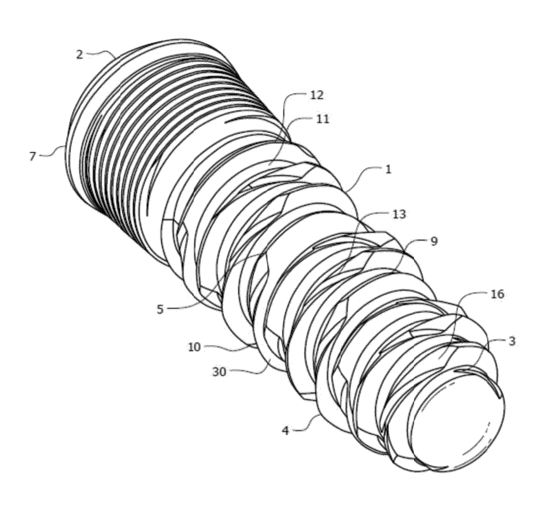 Dental Implant and Method for Rapid Integration