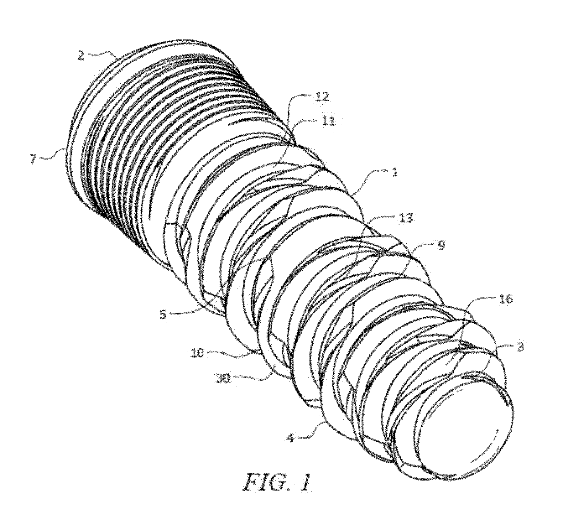 Dental Implant and Method for Rapid Integration