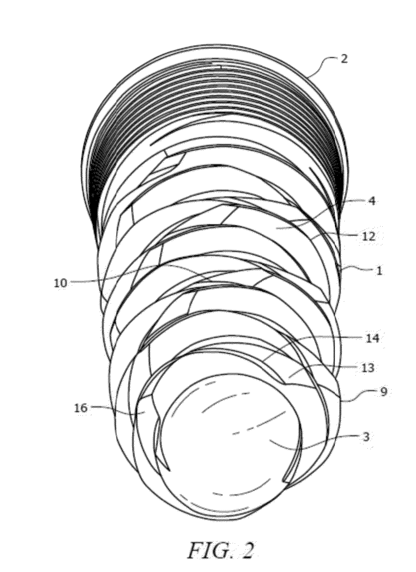 Dental Implant and Method for Rapid Integration