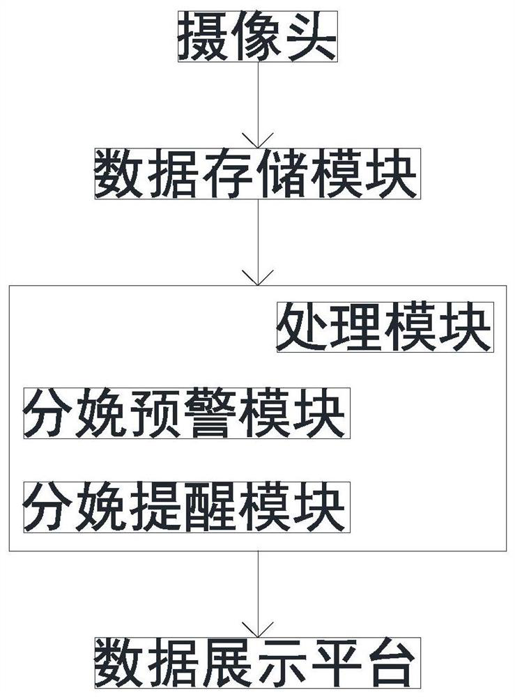 Sow health monitoring method and system