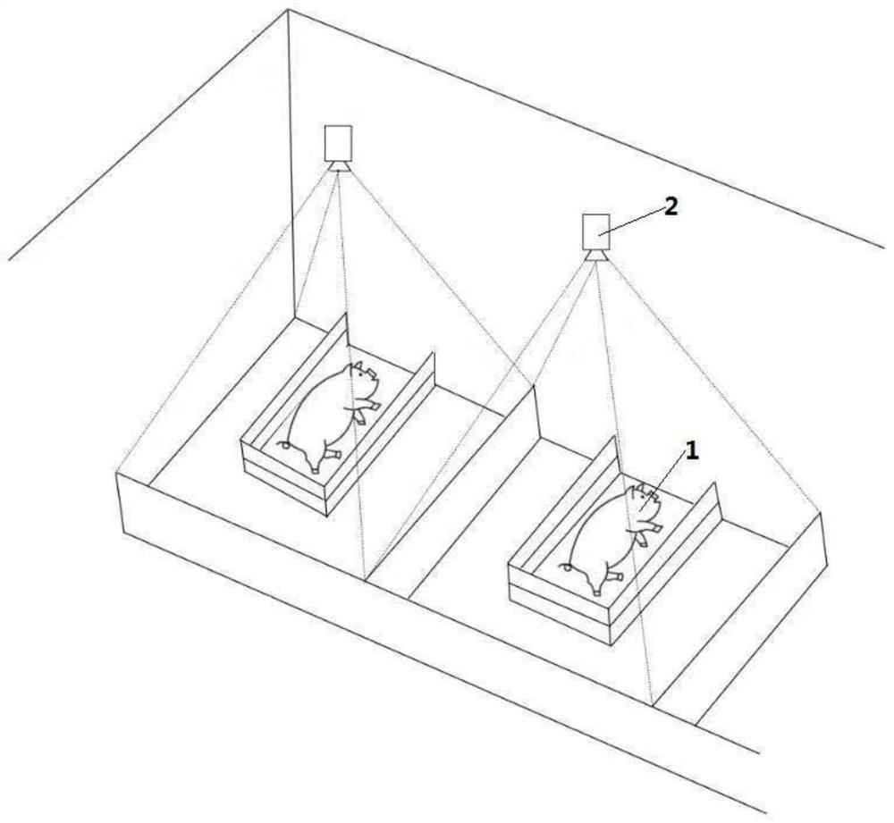 Sow health monitoring method and system