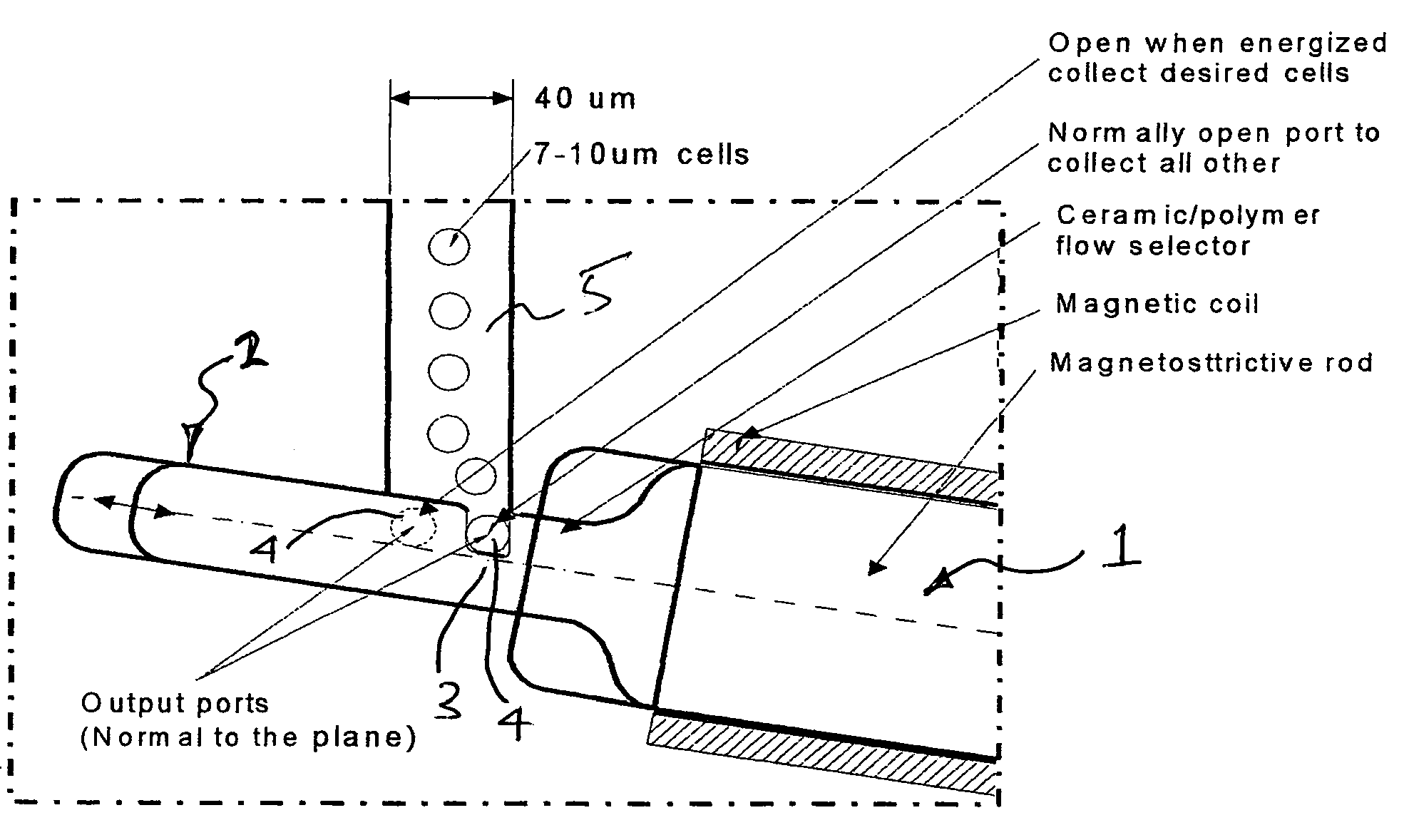 Method and apparatus for cell sorting