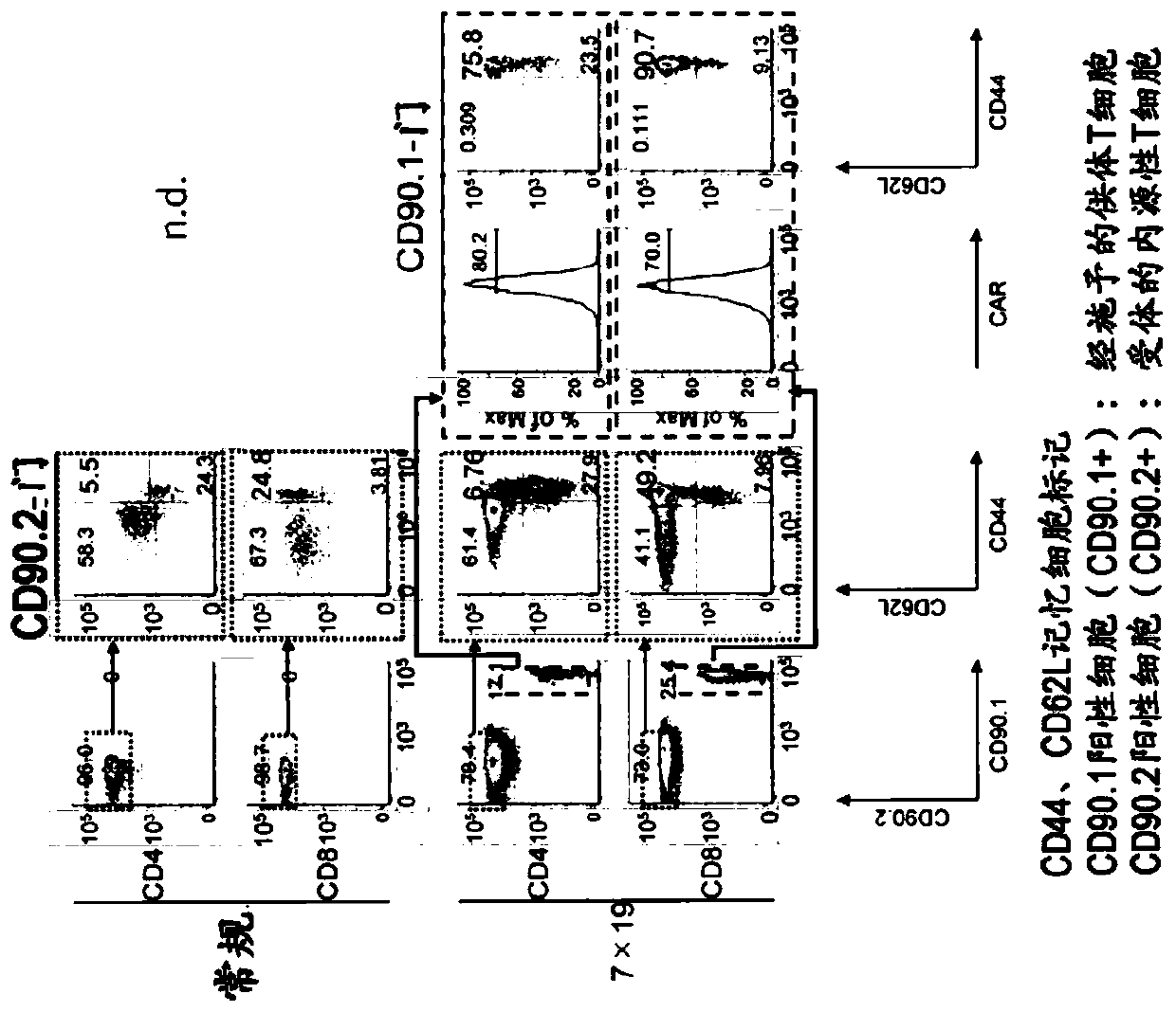 Enhancer for t-cells or b-cells having memory function, malignant tumor recurrence inhibitor, and inducer for inducing memory function in t-cells or b-cells