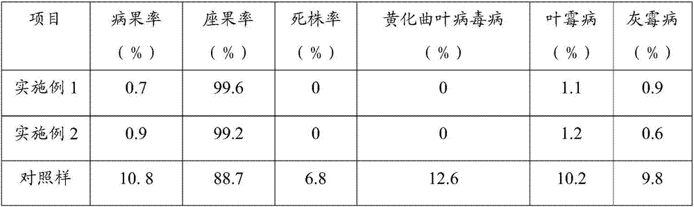 Green cultivation method of tomatoes, and plant residue recycling method