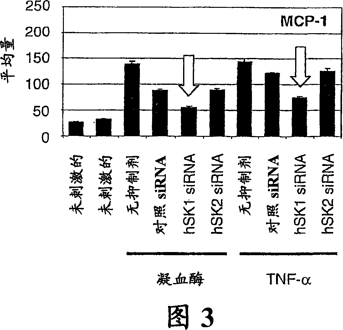 Sphingosine kinase-1 mediates gene expression regulation of a monocyte chemoattractant protein-1 gene