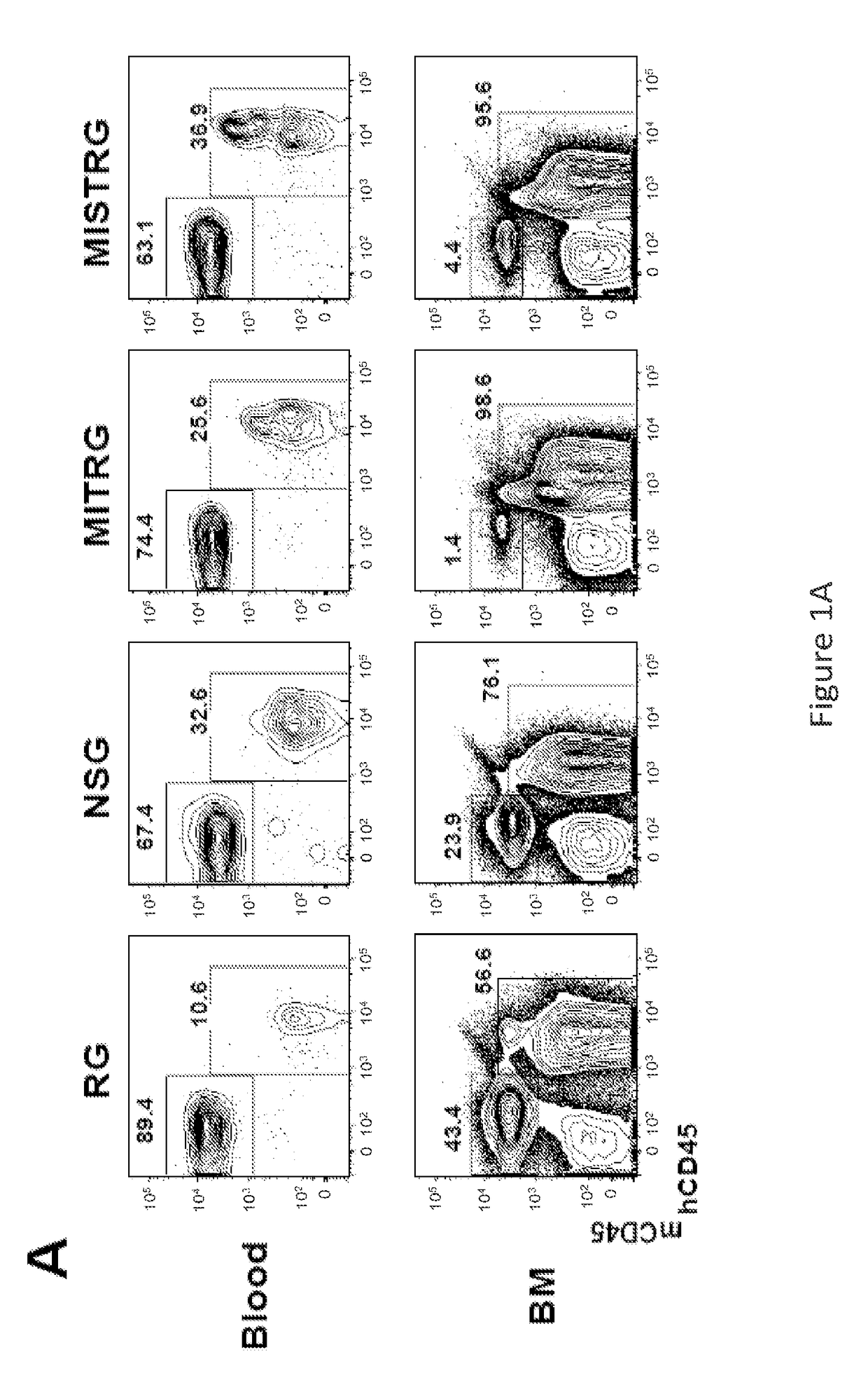 Genetically modified non-human animals and methods of use thereof