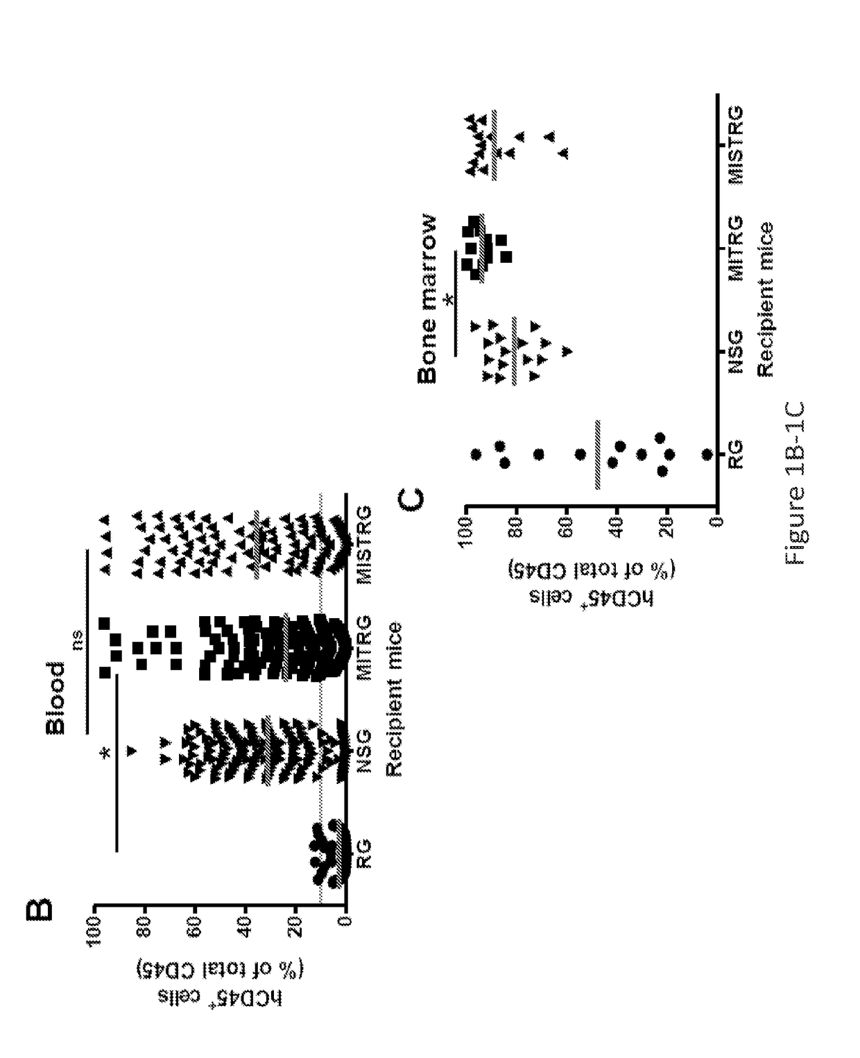 Genetically modified non-human animals and methods of use thereof