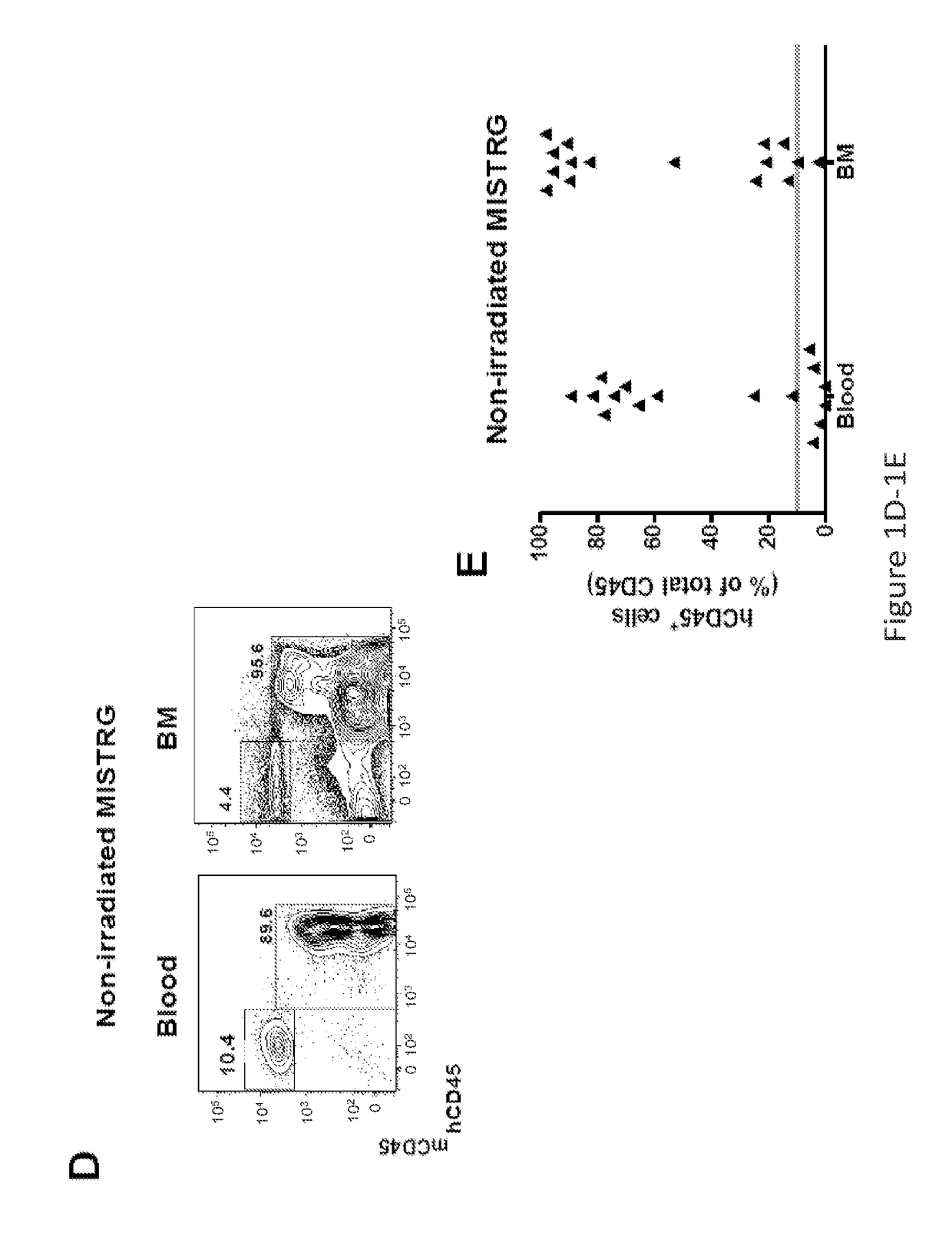 Genetically modified non-human animals and methods of use thereof