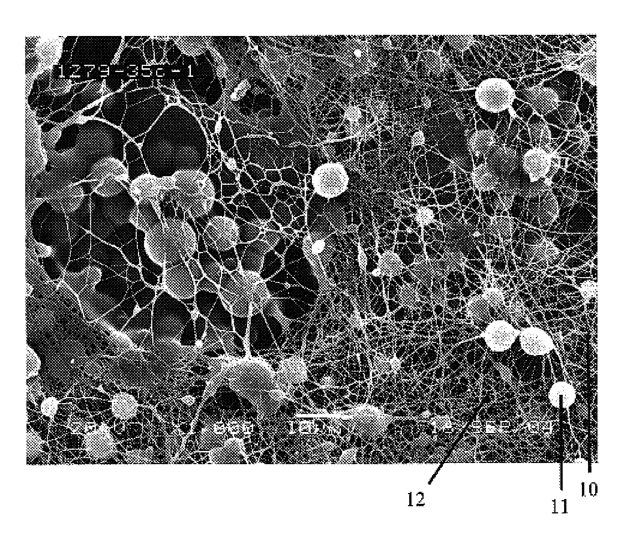 Reduced solidity web comprising fiber and fiber spacer or separation means