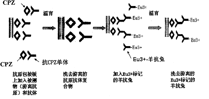 Time resolved fluoroimmunoassay kit for detecting chlorpromazine and detecting method thereof