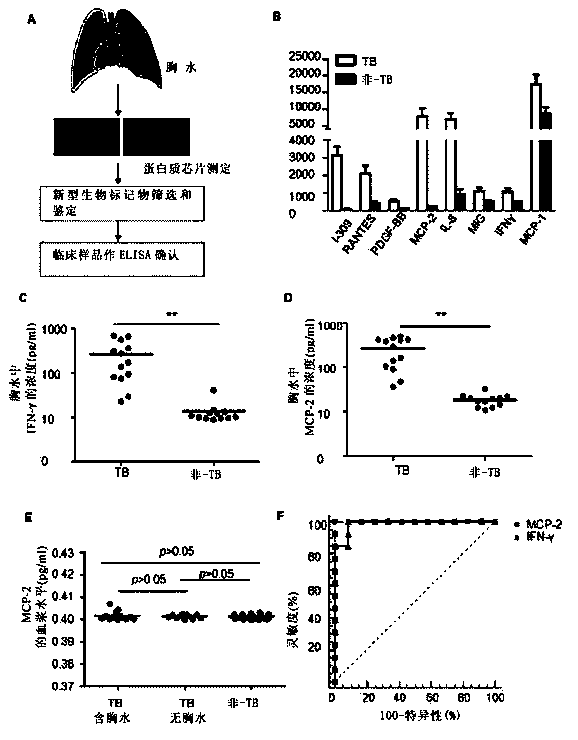 Monocyte chemoattractant protein (MCP) 2 used as marker for tubercular hydrothorax detection, and applications thereof