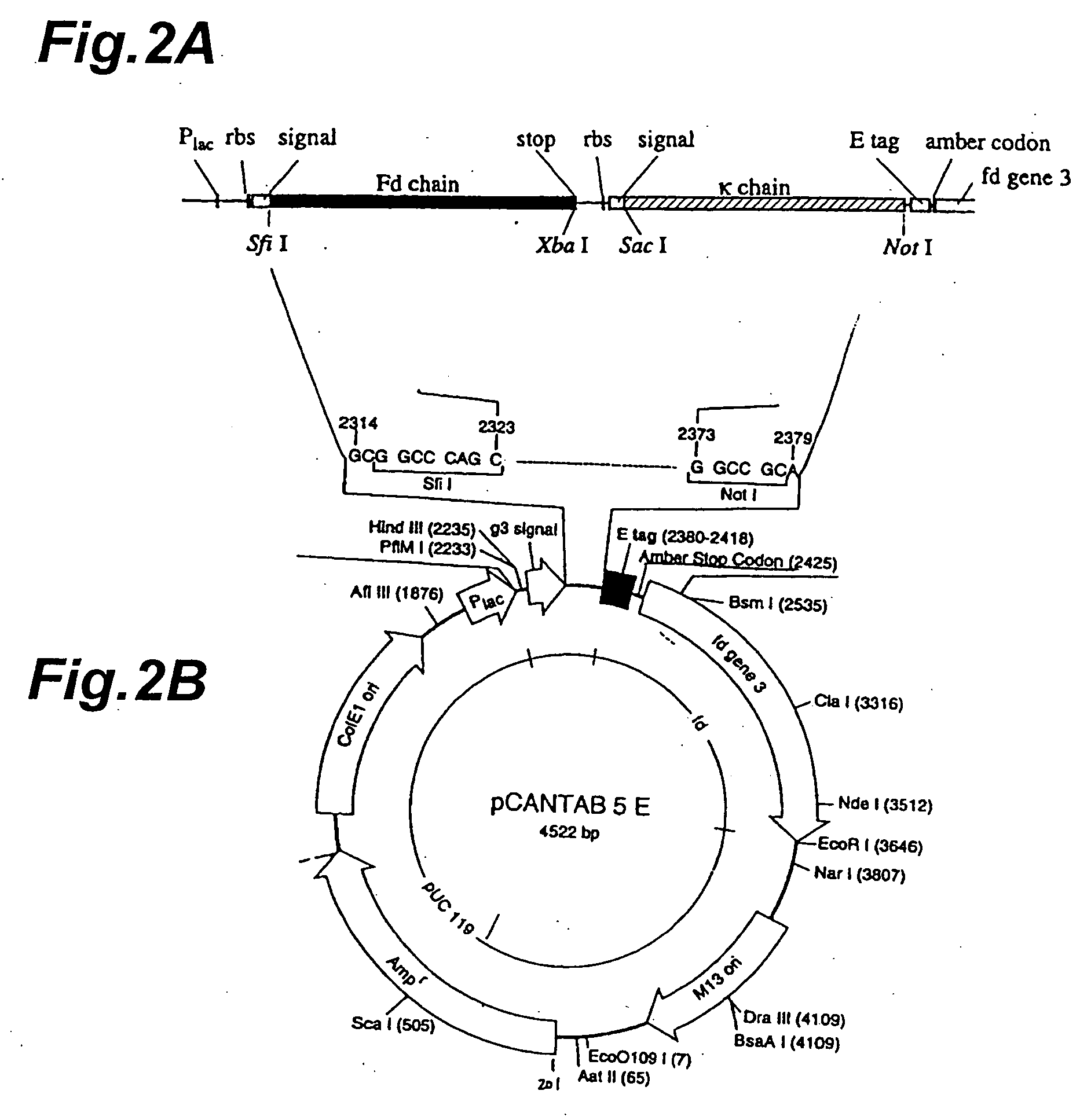 Method for quantitatively detecting antigen