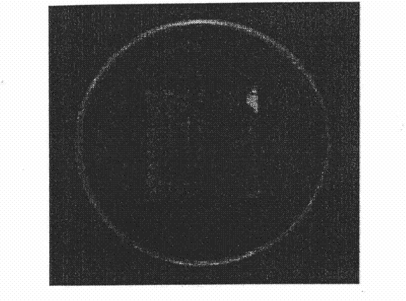 Artificial pearl paint containing photocatalyst and method of preparing the paint and a method of painting