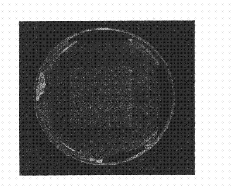 Artificial pearl paint containing photocatalyst and method of preparing the paint and a method of painting