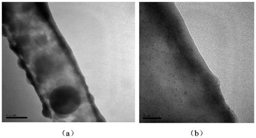 A formaldehyde purification fiber and its preparation method