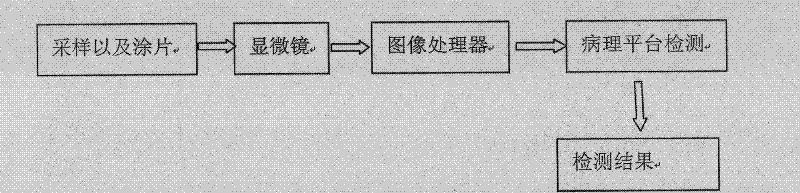 Method for identifying cancer cells