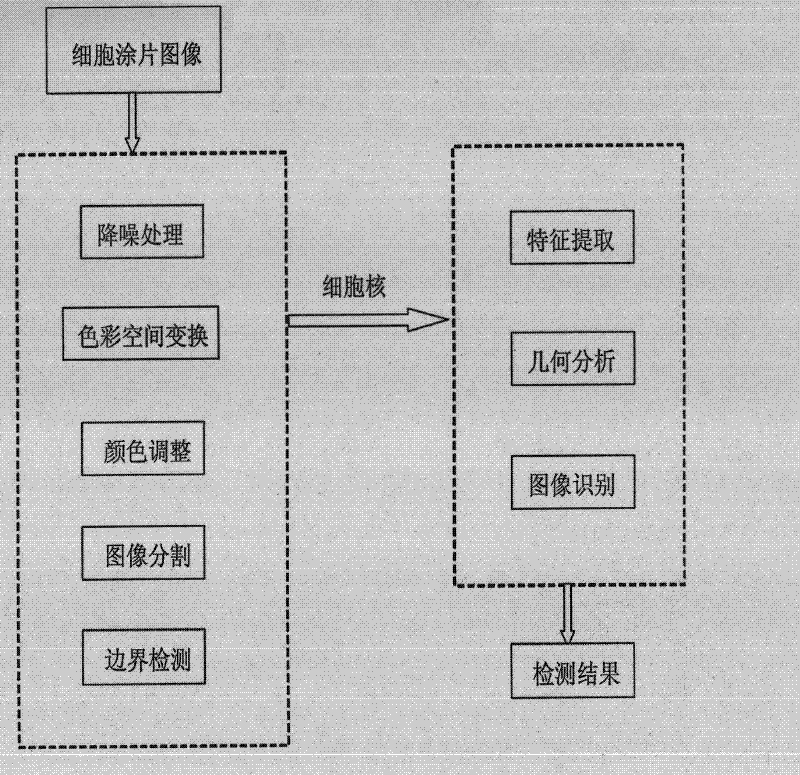 Method for identifying cancer cells