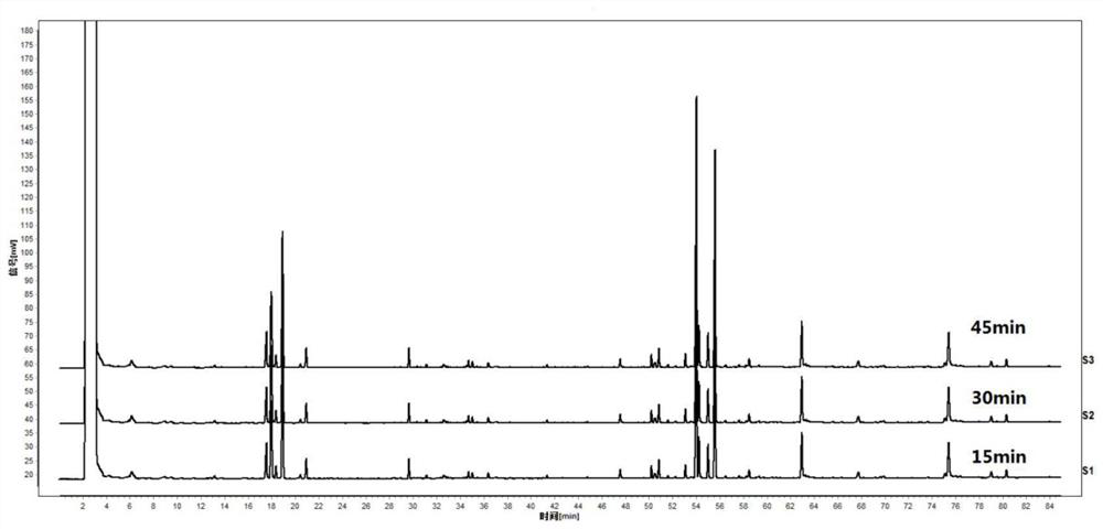 Specific chromatogram construction method of compound composition containing ligusticum wallichii, borneol and artificial musk and pharmaceutical preparation