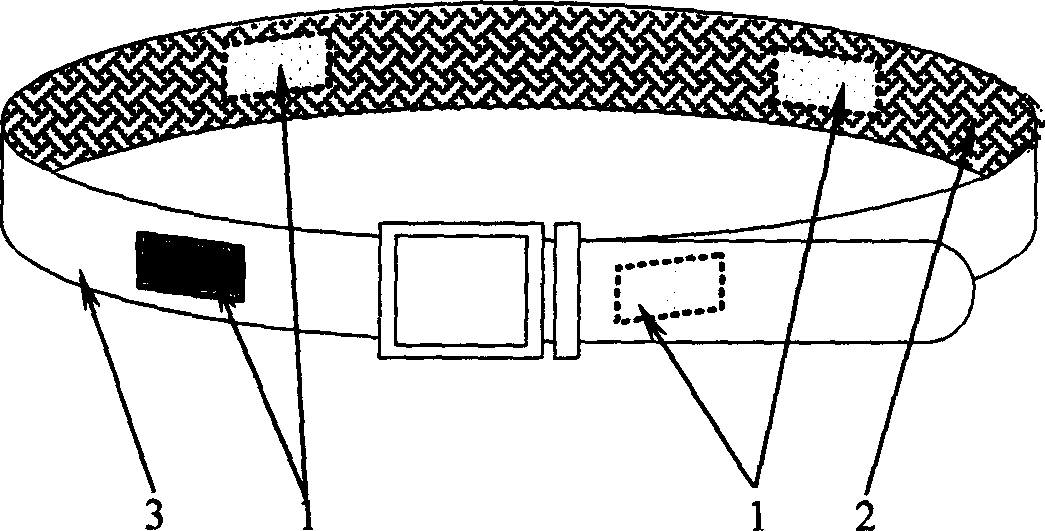 Wearable diversity antenna apparatus for wireless communication terminal